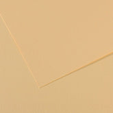 PAPEL MI-TEINTES 50X65 160GRS LICHEN PASTEL | 10 UNIDADES | (GUARRO & CANSON)